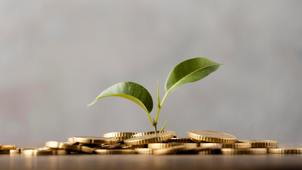 Salário Fixo x Segurança Financeira